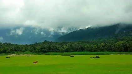 Kava View Point